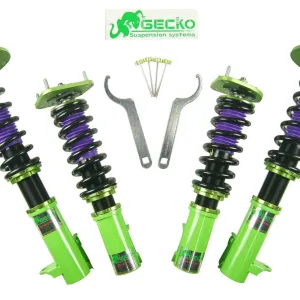 Neon SRT-4 Gecko Air Ride Setup